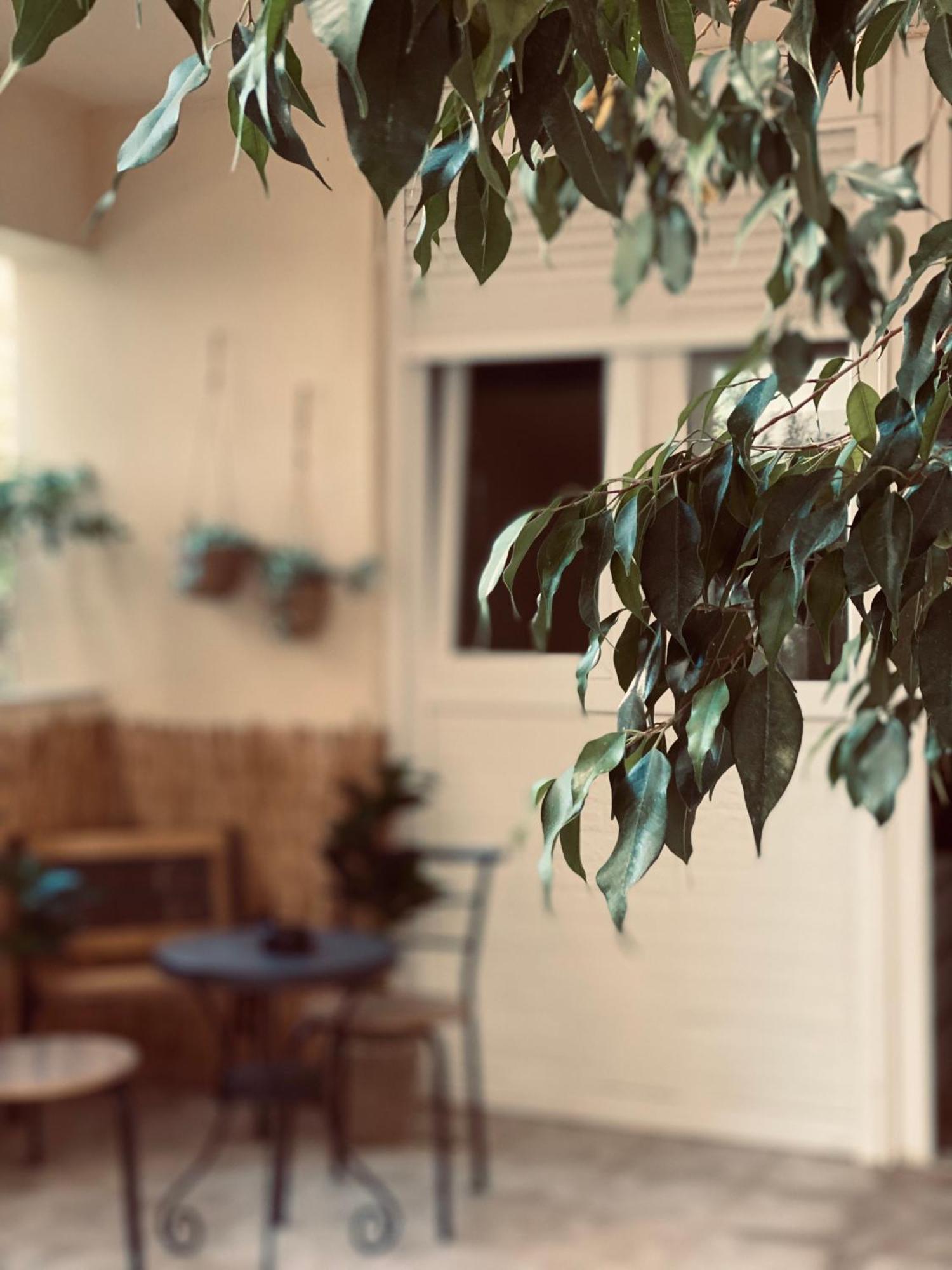 Independent House At Glyfada Apartment Athens Ngoại thất bức ảnh